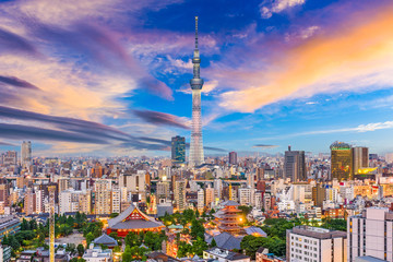 Fototapete - Tokyo, Japan Skyline