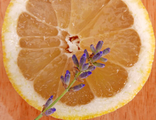 Lemon Slice and Lavender Flower