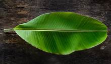 Banana Leaf On Wood