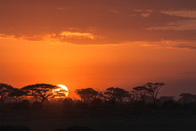 African Sunrise. Amboseli, Kenya
