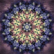 Floral Kaleidoscope Pattern, Like Glowing Light Behind Glass, With Low Key Effect - Like An Antique Rose Window