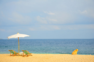 Wall Mural - Golden Retriever Dog Relaxing on Beach