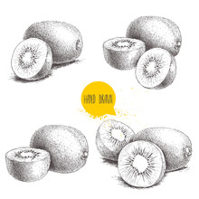 Hand Drawn Kiwi Fruit Vector Illustration Set. Sketch Style Vector Design Isolated On White Background. Tropic Fruit.