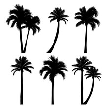Vector Set Of Tropical Palm Tree Silhouettes