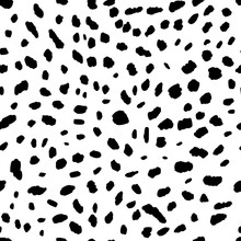 Vector Seamless Black And White Pattern Of Wild Cat
