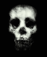 Scary Skull Isolated On Black Background, Horror Wallpaper