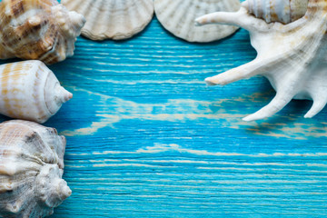 Summer sea background - shells on a wooden blue background.