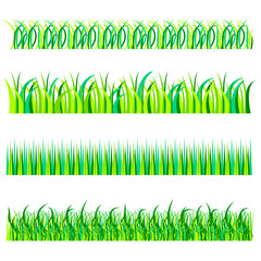 Grass vector set