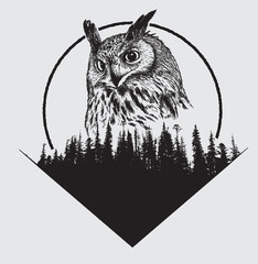 owl on forest silhouette background