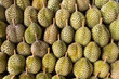 durian king of fruit