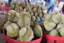 Durian King Of Fruit
