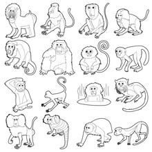 Monkeys Types Icons Set, Outline Style