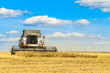 © nskyr2 - Combine harvester is working in the field. Agricultural work on a sunny day.