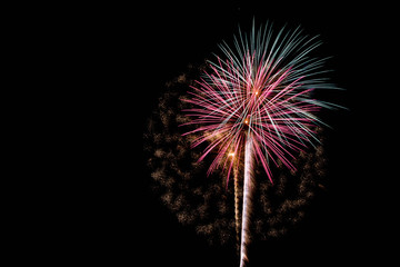 pink and green fireworks