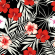 Color hibiscus on the black white leaves seamless background