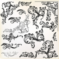 Wall Mural - calligraphic vector vintage design elements and swirls