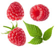 Fresh berries. Collection of raspberry fruits with leaves isolated on white with clipping path