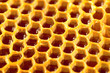 © niyazz - Organic honey in comb - close up shot