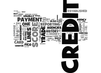 Wall Mural - WHAT IS CREDIT AND HOW IS IT ESTABLISHED TEXT WORD CLOUD CONCEPT