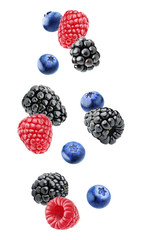 Fototapete - Isolated floating berries. Falling blackberry, raspberry and blueberry fruits isolated on white background with clipping path