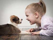Happy Child And A Small Puppy Lying On The Floor Facing Each Other. The Girl Gently Strokes The Dog's Paw And Laughs