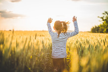 Little girl running cross the wheat field