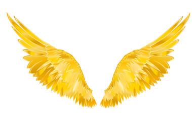 Wings. Vector illustration. Golden metal