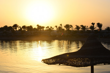 Wall Mural - Sunset at coastline with palm trees umbrella yellow sky