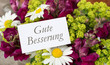 Good improvement / Greeting card with snapdragons, daisies and German text: Good improvement