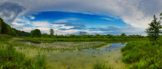 beautiful summer landscape panorama with swamp, green forest and blue sky with clouds. natural outdo