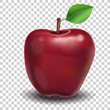 Red Apple. Realistic vector