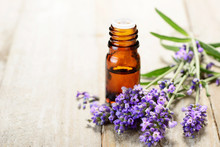 Lavender Essential Oil In The Amber Bottle, With Fresh Lavender Flower Heads.