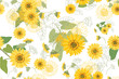 Vector Illustration Yellow Sunflowers