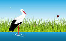 Cartoon Vector Landscape With Stork And Lake