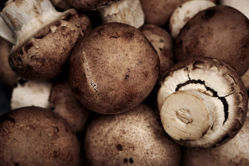 Macro shot of brown mushrooms harvest. Raw champignons background. 