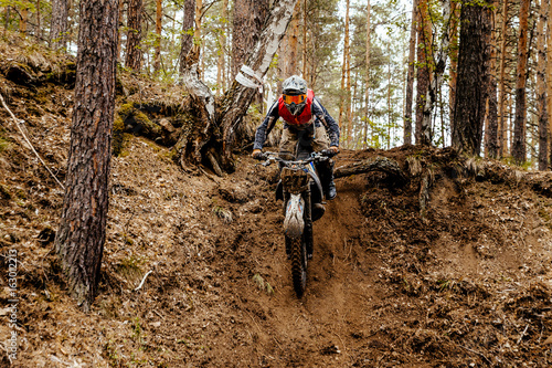 Fotomural athlete bike enduro in forest trail downhill competition motocross