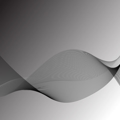 Wall Mural - Abstract soft waves on white  background.  Abstract  lines  background.