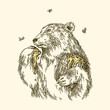 The bear eats honey paw. The bear eats honey paw. Vintage style. Vector illustration.