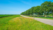Road in a rural landscape in summer