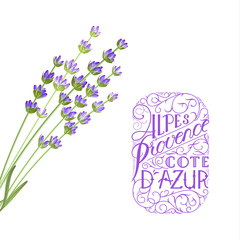 Fotomurales - The lavender elegant card with frame of flowers and text. Lavender garland for your text presentation. Label of soap package. Label with blossom flowers. Vector illustration.