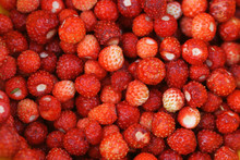 Ripe Red Strawberry Close-up