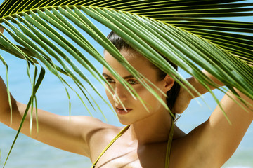 Sticker - Beautiful woman with a palm leaf on the beach