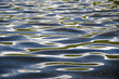 Green reflexes and transparency of the lake