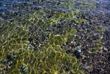 Fototapeta Morze - Kolorowe kamienie w przeźroczystej wodzie morza.