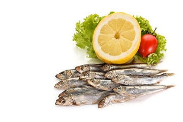 Sprat fish isolated on white background