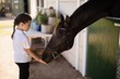 © WavebreakMediaMicro - Girl feeding a horse in the stable