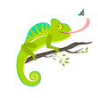 Green chameleon sitting on the branch on white background, vector illustration.