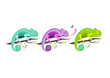Set of colorful chameleons sitting on the branch on white background, vector illustration.