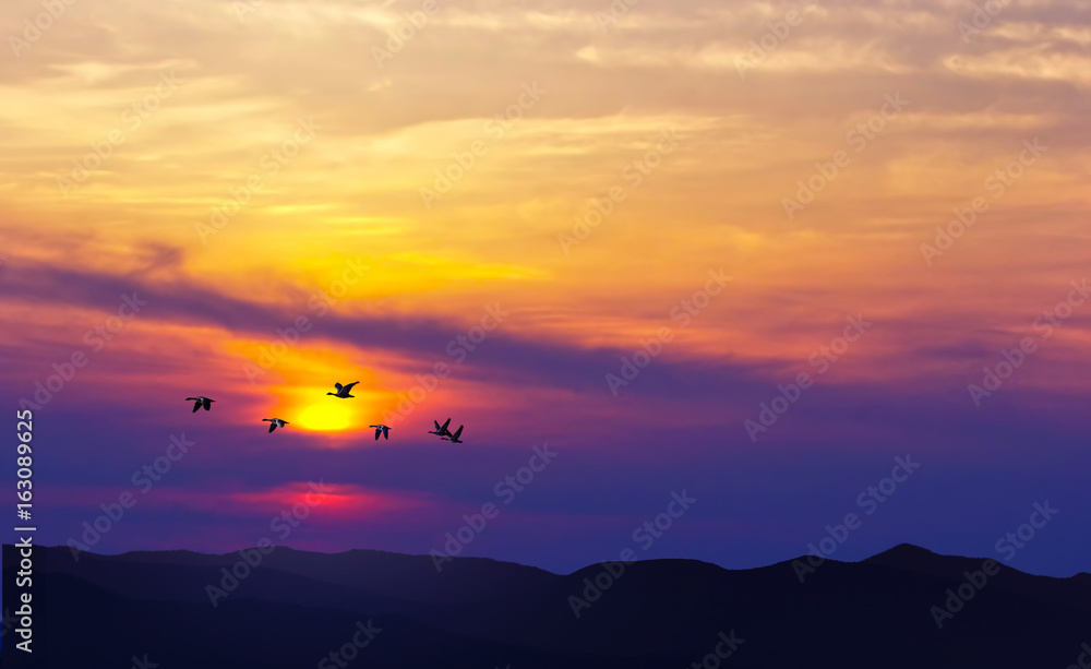 Birds flying at sunset over the mountains