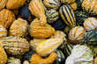 Mix of gourds